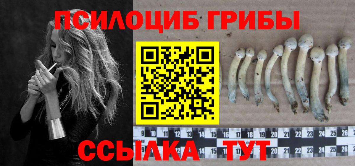 Псилоцибиновые грибы прущие грибы Новочеркасск